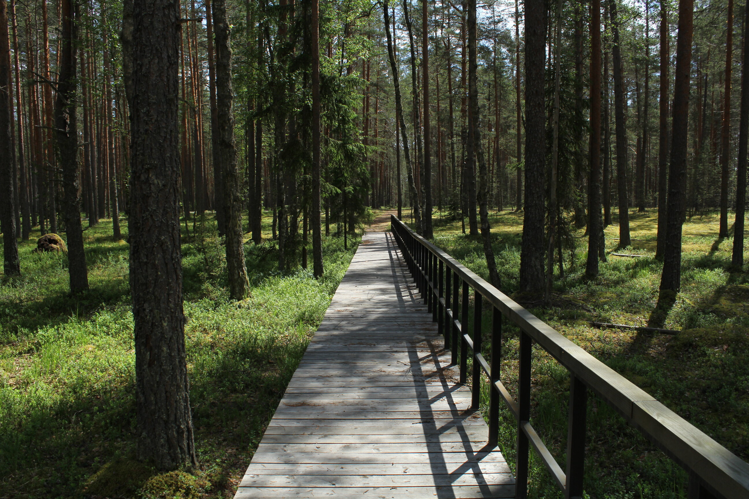 Формирование реестра объектов туристско-рекреационной инфраструктуры национальных парков Российской Федерации