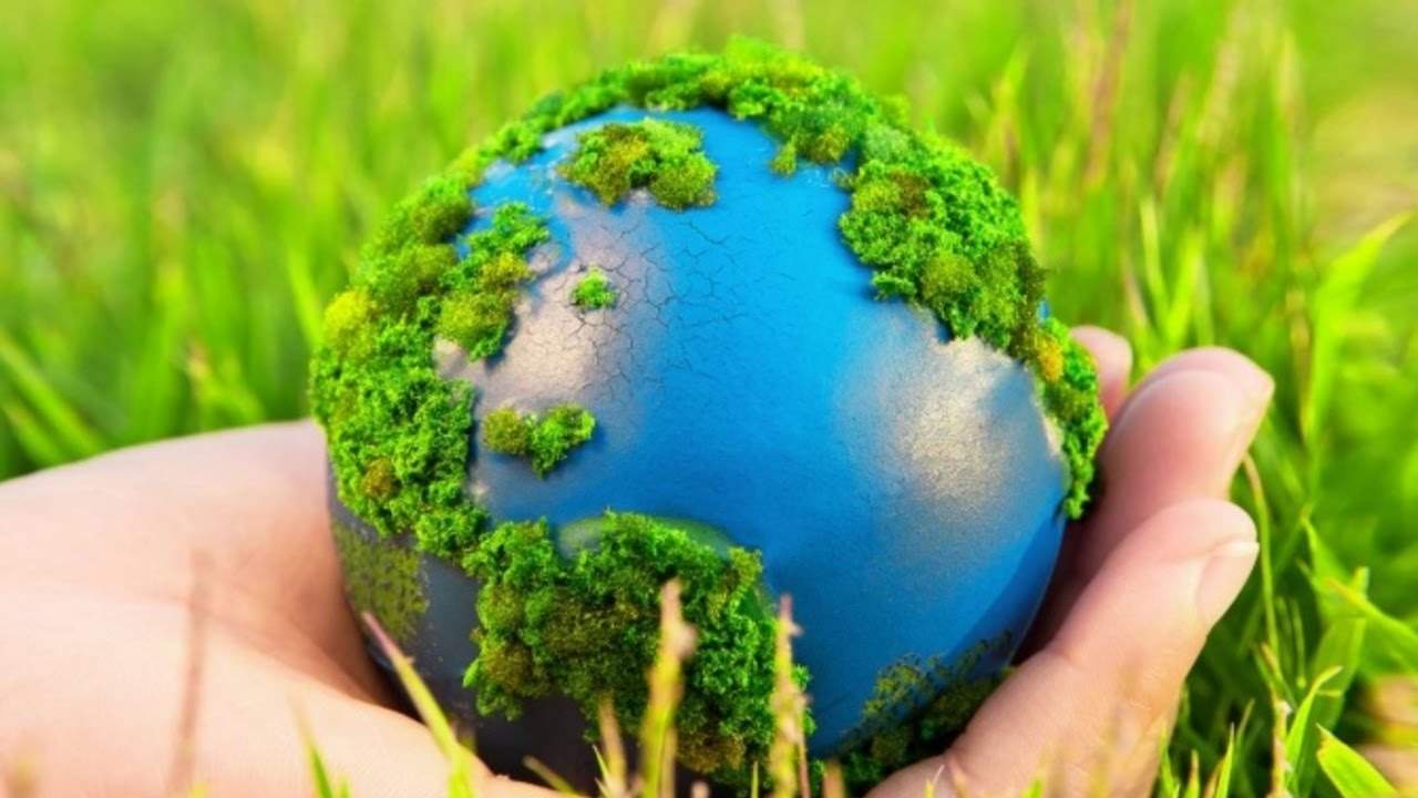2017 год объявлен Годом экологии в России