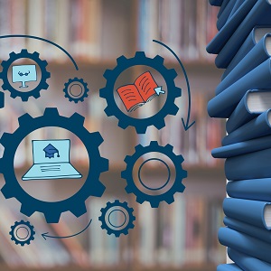 Совместные образовательные программы российских вузов с китайскими университетами: тенденции и перспективы