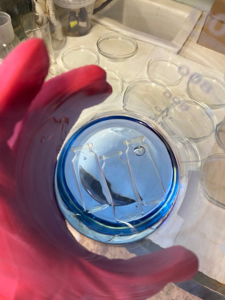 Разработка и внедрение электронной системы менеджмента качества в испытательной лаборатории