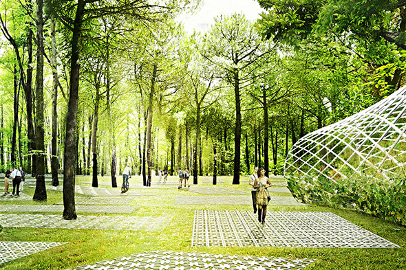 Парк ВВГУ как туристский объект в городе Владивостоке