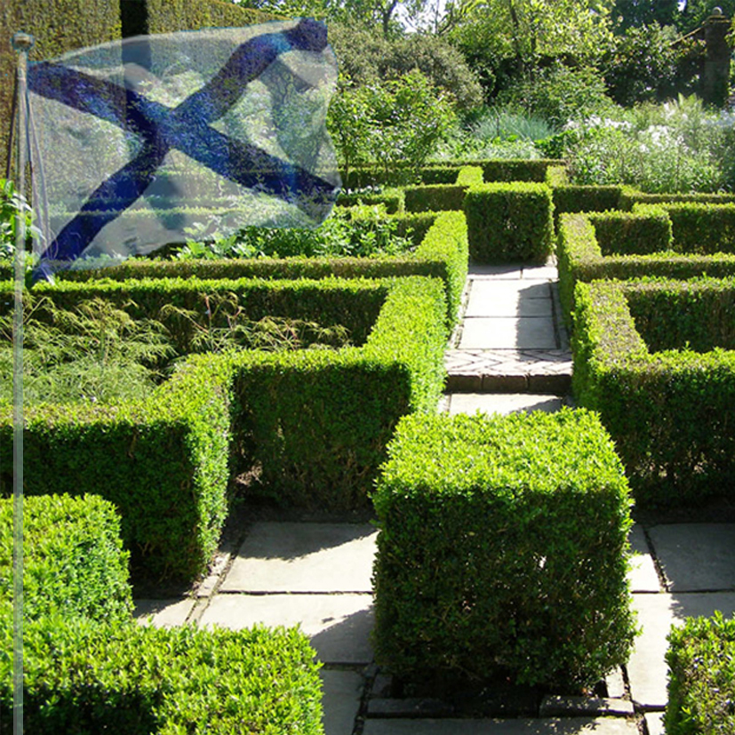 Концепция благоустройства и озеленения территории Военно-морского клинического госпиталя ТОФ в регулярном стиле