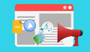 Разработка рекомендаций по продвижению сферы туризма на мезо-уровне посредством интернет-сайта регионального туристско-информационного центра (на примере Приморского края)